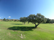 santa clara golf